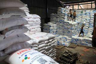 Pemerintah Didesak Membuka Akses Pupuk Bersubsidi bagi Petani Sawit