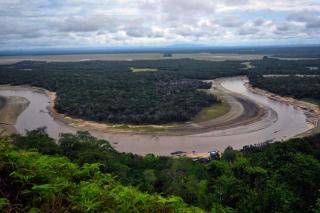 Sungai Kapuas Surut Akibat El Nino, PKS Batasi Pembelian, TBS Sawit Petani Terancam Busuk