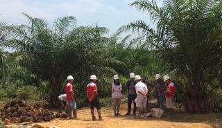 Distribusi CPO di Kalbar Dihadapkan Sejumlah Hambatan
